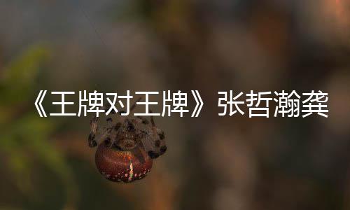 王王牌王牌张哲瀚在哪张哲对王第几瀚龚龚俊牌对牌一期俊期有