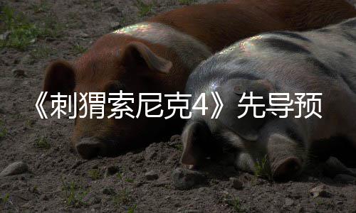 尼克猬索重空降先导袭来磅新刺预告角色强势