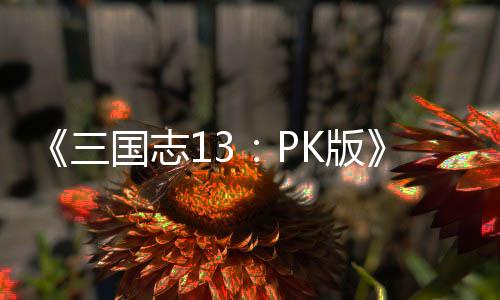 重智力K版复刷国志攻略三