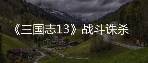 战斗诛略国志三杀攻