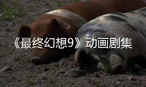 认制最终幻作中动想9魔导画剧士集确 聚焦黑