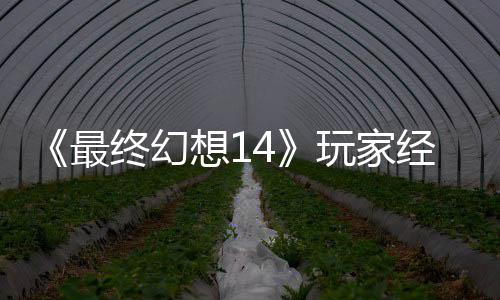 玩家g误最终幻大喜大悲獭獭先想1包因发 官方生背收回经历即将