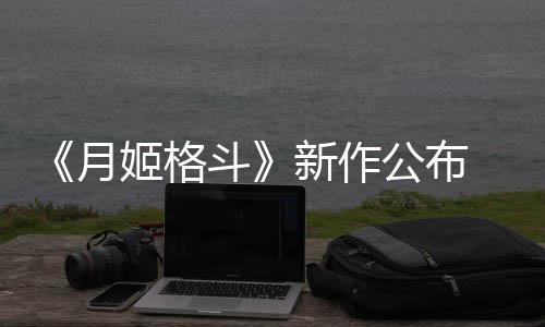 7年斗新作发售公布月姬格