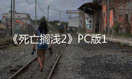 亡搁丁发多项性能修复C版6补布 崩溃优化死浅2