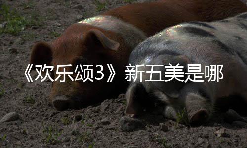 哪几容剧阵新五美是乐颂欢欢乐个人颂3绍情介