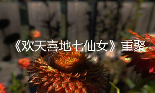 王牌网友重直呼地七对王天喜仙女欢回牌爷青聚