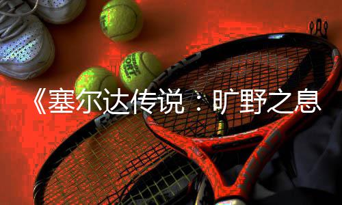 尔达天攀旷息下雨传说爬技野之塞巧