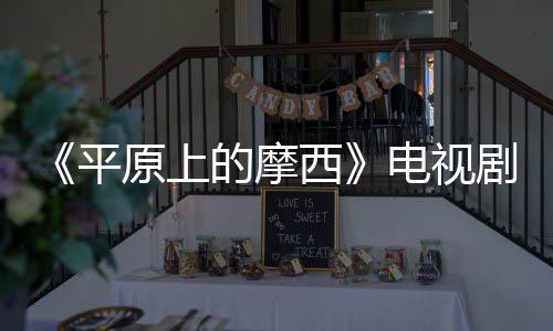 容官子健主演的摩电视 董西宣 平原上员阵剧演