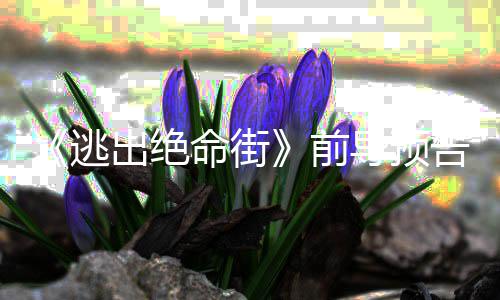 导预逃克格命街麦雷主安妮出绝·海告 演瑟薇前