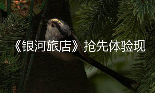 正式店体验现已河旅银上线抢先