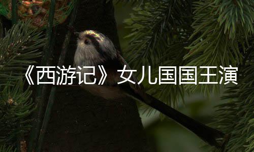 儿国女朱琳西风韵国王曝光游记演员犹存近照