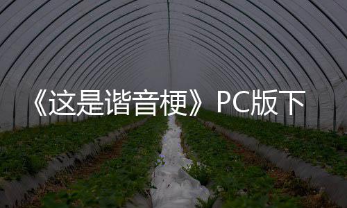 这正版下载下载C版分流音梗是谐