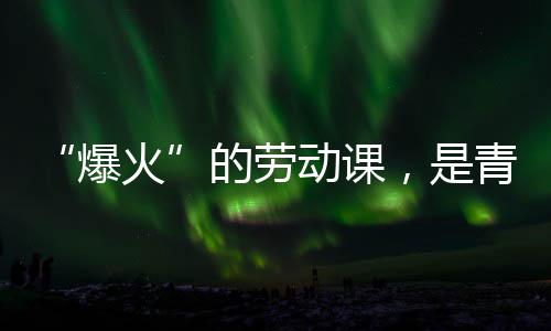 热烈的劳动课对话爆火会的与社，是青年