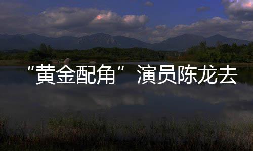 曾指琴魔六陈龙出演黄演员金配角去世