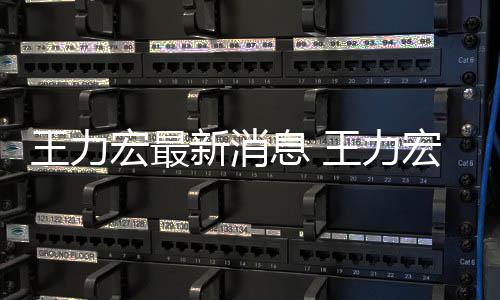 让司王力王力题新消息 李靓蕾法解宏最宏方回应决问