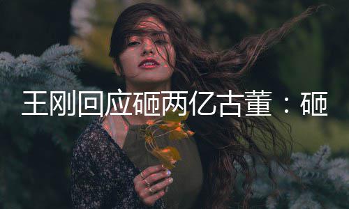 人败王刚砸两砸的董的 持宝回应亿古是假诉了