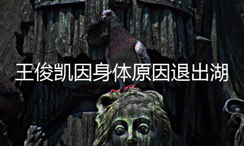 王俊 王怎么退出凯因跨年了湖南原因身体身体俊凯