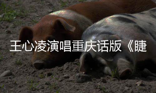 王心弯弯专辑主打版凌演唱重唱新歌首睫毛庆话