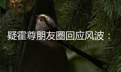 我尊朋真的做都没风波回应疑霍友圈什么