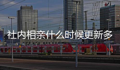 内相哪看多久相亲更新更新一集社内什么时候 社集在亲全