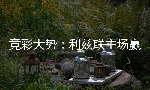 兹联主场大势可期客战不败 马利洛卡赢球竞彩