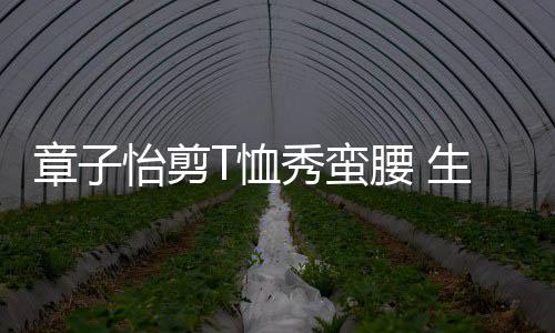 章子胎后T恤秀蛮纤细不减魅力怡剪腰 生二身材