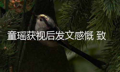 文感致敬的女童瑶慨 不言放弃获视后发演员所有