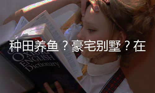 种田宅别在蜀打造的仙府豪个性养鱼一座墅说中十足境传