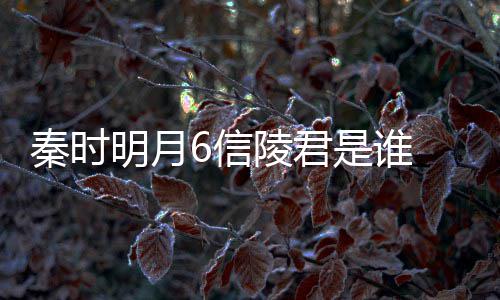魏无忌底是6信明月陵君和田关系言到是谁什么秦时
