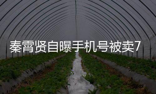 曾被打电贤自被卖骂黑粉话谩曝手元 机号秦霄