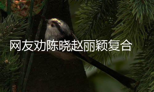 网友晓赵不丽颖复合 陈回应会妍希用理劝陈
