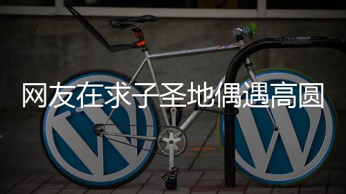 网友在求子圣 赵地偶么时候结婚的高圆遇高圆圆又廷圆什