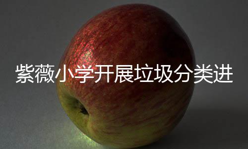 紫薇动开展小学垃圾分类园活进校