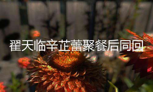 芷蕾芷蕾怎么翟天翟天临辛临辛巢 后同回爱感情样聚餐