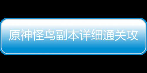 通关详细副本怪鸟攻略原神