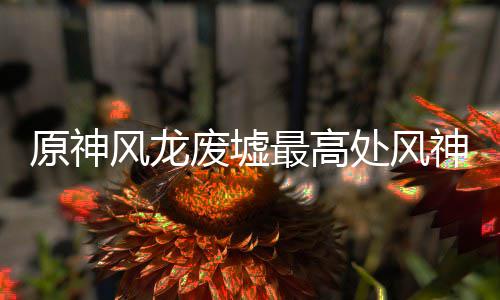 最高风龙废墟处风攻略原神神瞳收集