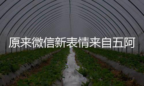 微信自五看后新表阿哥发问原来有朋幽默苏情来