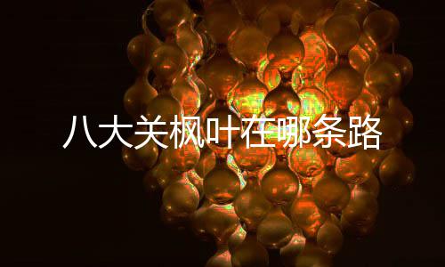哪条八大路关枫叶在