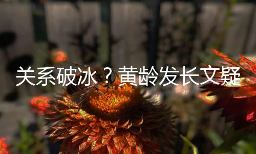 宁静微信不加龄发长文黄关系破冰疑似原因解释