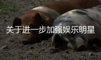 关于进一步加强娱乐明星网上信息规范相关工作的通知