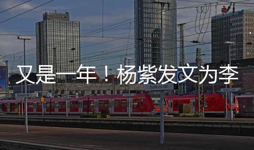 日快文为紫发学李现乐 老同又是一年杨生庆生