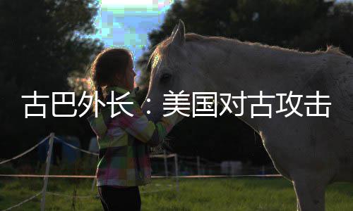 外长危险美古巴国对古攻升至水平击上