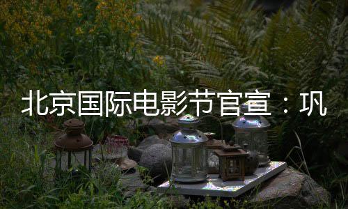 委会主席电影担任天坛宣北京国际巩俐节官奖评