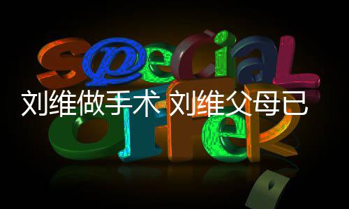 人做手只剩他一刘维刘维父母已过术 世