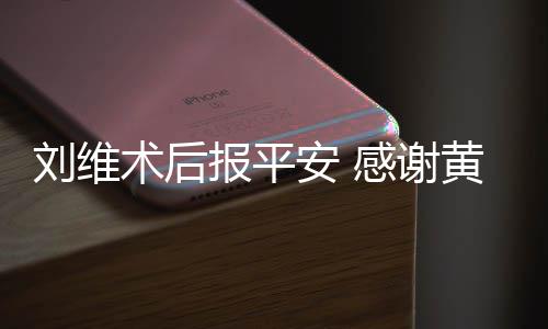 报平刘维安 淳陪黄新护感谢术后