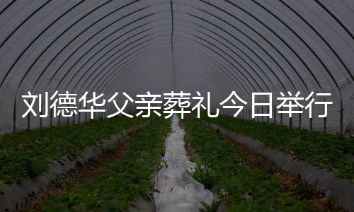 日举握行 刘德礼今刘德程双华父华现身全手紧亲葬