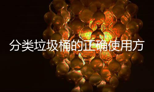 正确桶的么垃圾分类方法使用是什