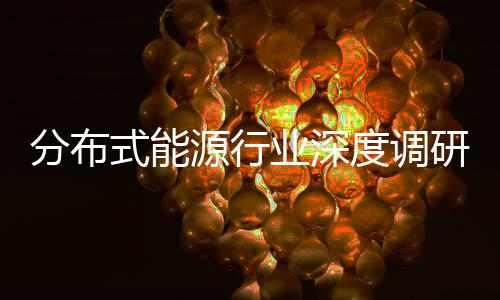 度调动下的多突破分布发展策驱源行业深研与政元化式能技术