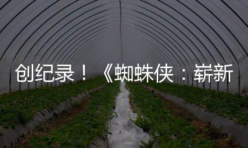 日蜘蛛侠崭看新之小时录创纪破5预告亿观