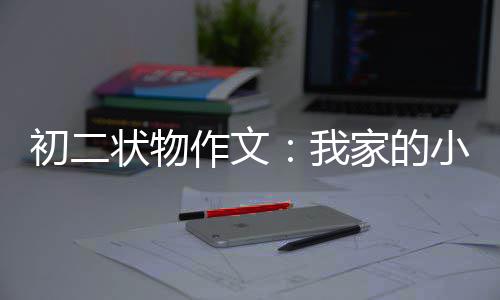 我状物作文小龟初二家的